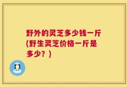 野外的灵芝多少钱一斤(野生灵芝价格一斤是多少？)