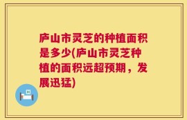庐山市灵芝的种植面积是多少(庐山市灵芝种植的面积远超预期，发展迅猛)