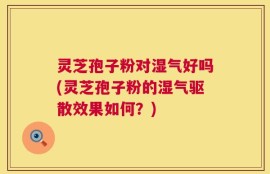 灵芝孢子粉对湿气好吗(灵芝孢子粉的湿气驱散效果如何？)