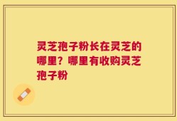 灵芝孢子粉长在灵芝的哪里？哪里有收购灵芝孢子粉