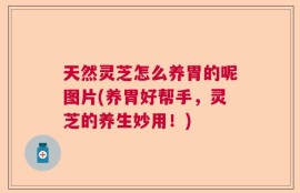 天然灵芝怎么养胃的呢图片(养胃好帮手，灵芝的养生妙用！)