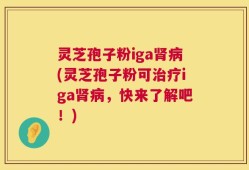 灵芝孢子粉iga肾病(灵芝孢子粉可治疗iga肾病，快来了解吧！)