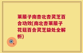 莱菔子南杏北杏灵芝百合功效(南北杏莱菔子花菇百合灵芝益处全解析)