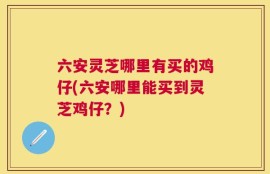 六安灵芝哪里有买的鸡仔(六安哪里能买到灵芝鸡仔？)