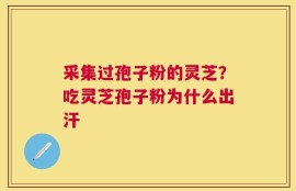 采集过孢子粉的灵芝？吃灵芝孢子粉为什么出汗