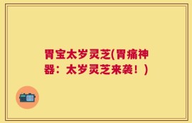 胃宝太岁灵芝(胃痛神器：太岁灵芝来袭！)