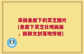 采摘悬崖下的灵芝图片(悬崖下灵芝壮观画面，新颖文创落地惊艳)