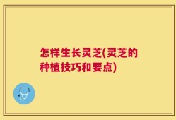 怎样生长灵芝(灵芝的种植技巧和要点)