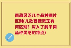 西藏灵芝几个品种图片区别(几款西藏灵芝有何区别？深入了解不同品种灵芝的特点)