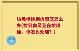 垃圾桶捡到肉灵芝怎么办(捡到肉灵芝在垃圾桶，该怎么处理？)