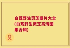 白芨野生灵芝图片大全(白芨野生灵芝高清图集合辑)
