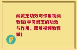 藏灵芝功效与作用视频教程(学习灵芝的功效与作用，跟着视频教程做)