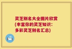 灵芝别名大全图片欣赏(丰富你的灵芝知识：多彩灵芝别名汇总)