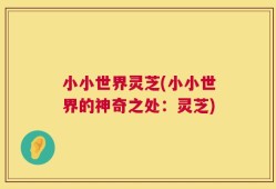小小世界灵芝(小小世界的神奇之处：灵芝)