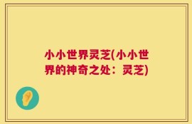 小小世界灵芝(小小世界的神奇之处：灵芝)