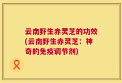云南野生赤灵芝的功效(云南野生赤灵芝：神奇的免疫调节剂)