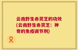 云南野生赤灵芝的功效(云南野生赤灵芝：神奇的免疫调节剂)