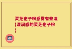 灵芝孢子粉感觉有些湿(湿润感的灵芝孢子粉)