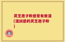 灵芝孢子粉感觉有些湿(湿润感的灵芝孢子粉)