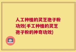 人工种植的灵芝孢子粉功效(手工种植的灵芝孢子粉的神奇功效)