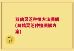双鹤灵芝种植方法图解(双鹤灵芝种植图解方案)
