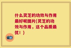 什么灵芝的功效与作用最好呢图片(灵芝的功效与作用，这个品质最优！)