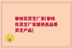 攀枝花灵芝厂家(攀枝花灵芝厂家提供高品质灵芝产品)