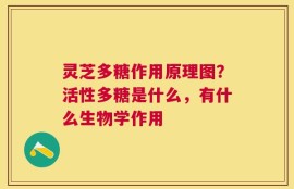 灵芝多糖作用原理图？活性多糖是什么，有什么生物学作用