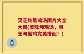 灵芝炖黑鸡汤图片大全大图(美味炖鸡汤，灵芝与黑鸡完美搭配！)