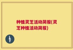 种植灵芝活动简报(灵芝种植活动简报)