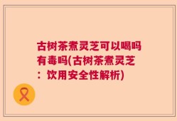 古树茶煮灵芝可以喝吗有毒吗(古树茶煮灵芝：饮用安全性解析)