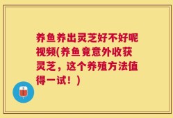 养鱼养出灵芝好不好呢视频(养鱼竟意外收获灵芝，这个养殖方法值得一试！)