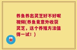 养鱼养出灵芝好不好呢视频(养鱼竟意外收获灵芝，这个养殖方法值得一试！)