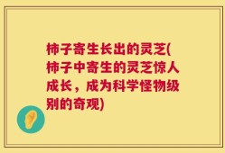 柿子寄生长出的灵芝(柿子中寄生的灵芝惊人成长，成为科学怪物级别的奇观)