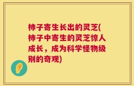 柿子寄生长出的灵芝(柿子中寄生的灵芝惊人成长，成为科学怪物级别的奇观)