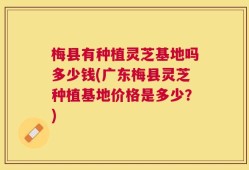 梅县有种植灵芝基地吗多少钱(广东梅县灵芝种植基地价格是多少？)