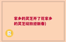 家乡的灵芝开了花家乡的灵芝绽放迎新春)