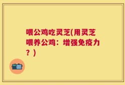 喂公鸡吃灵芝(用灵芝喂养公鸡：增强免疫力？)