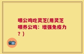 喂公鸡吃灵芝(用灵芝喂养公鸡：增强免疫力？)