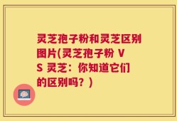 灵芝孢子粉和灵芝区别图片(灵芝孢子粉 VS 灵芝：你知道它们的区别吗？)