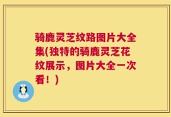 骑鹿灵芝纹路图片大全集(独特的骑鹿灵芝花纹展示，图片大全一次看！)