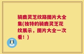 骑鹿灵芝纹路图片大全集(独特的骑鹿灵芝花纹展示，图片大全一次看！)
