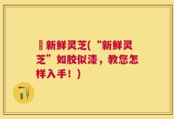 釆新鲜灵芝(“新鲜灵芝”如胶似漆，教您怎样入手！)