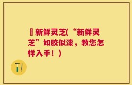 釆新鲜灵芝(“新鲜灵芝”如胶似漆，教您怎样入手！)