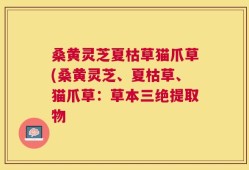 桑黄灵芝夏枯草猫爪草(桑黄灵芝、夏枯草、猫爪草：草本三绝提取物