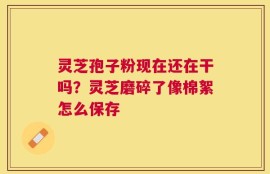 灵芝孢子粉现在还在干吗？灵芝磨碎了像棉絮怎么保存