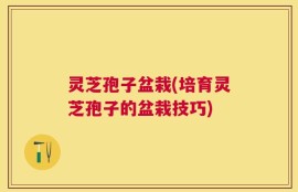 灵芝孢子盆栽(培育灵芝孢子的盆栽技巧)
