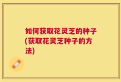 如何获取花灵芝的种子(获取花灵芝种子的方法)