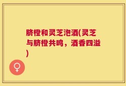 脐橙和灵芝泡酒(灵芝与脐橙共鸣，酒香四溢)