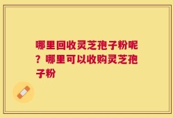 哪里回收灵芝孢子粉呢？哪里可以收购灵芝孢子粉